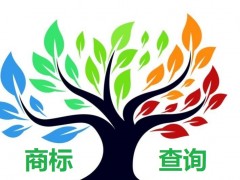 如何應(yīng)對(duì)商標(biāo)查詢盲期？